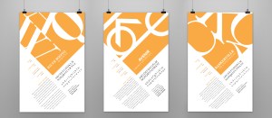 Vox Classification Poster Set